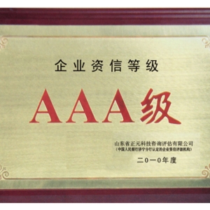 企業(yè)AAA資信等級