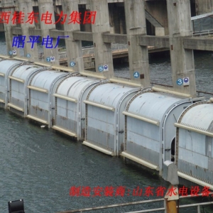 昭平水電廠
